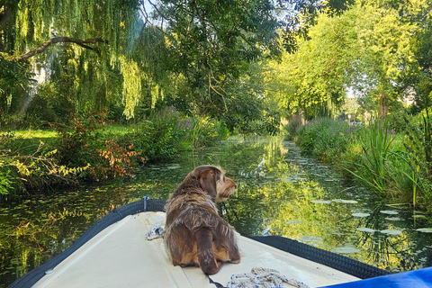 The Hague: Self-Drive Boat Rental up to 7 people, no licence