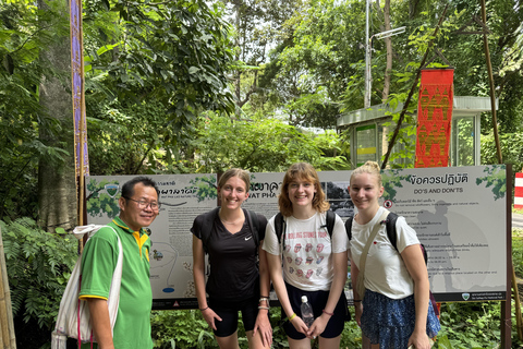 Chiang Mai: Elefantreservat, munkspår och Doi Suthep-turUpphämtning från hotell i Chiang Mai Center