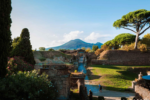 From Naples Port: Pompeii Guided Walking tour or smart guide English guided tour