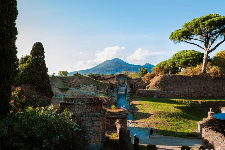 From Naples Port: Pompeii Guided Walking tour or smart guide English guided tour
