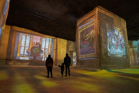 Les Baux-de-Provence: Carrières des Lumières Picasso-Frida Kahlo ticket