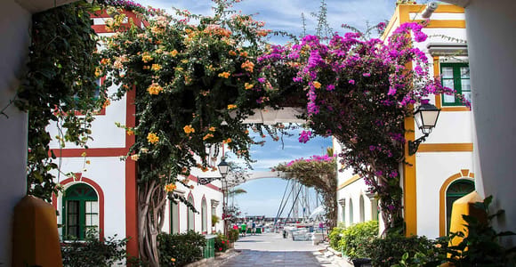 Highlights of the south of Gran Canaria