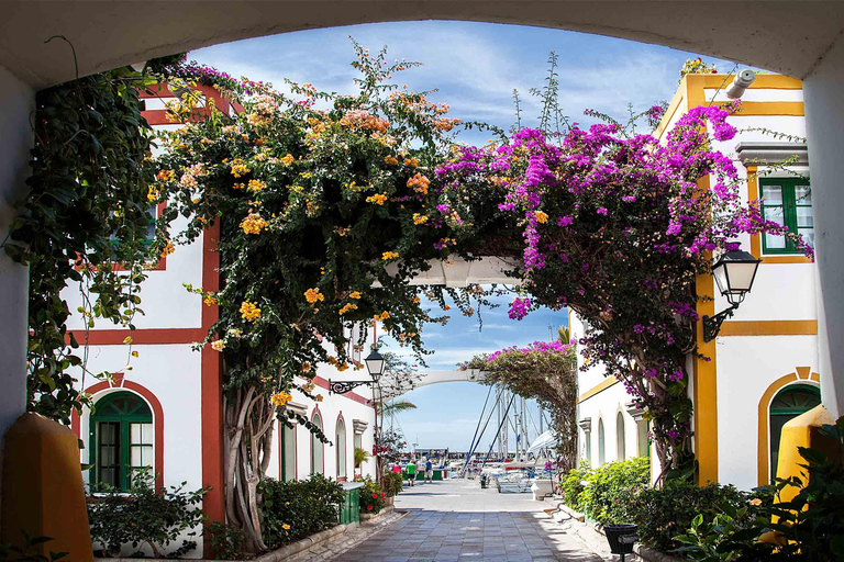 Essentials of the south of Gran Canaria Guided bus tour with pick-up from Las Palmas