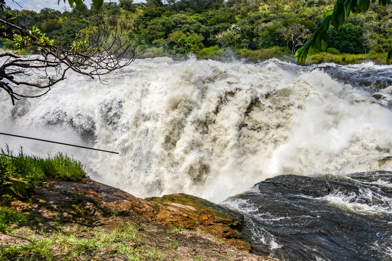 Uganda 10-tägige Wild- und Primaten-Safari.