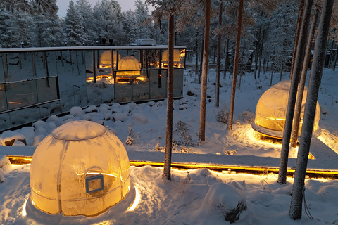 Rovaniemi: jantar privado em iglu com aurora borealRovaniemi: jantar privado no Aurora Dome com transfers