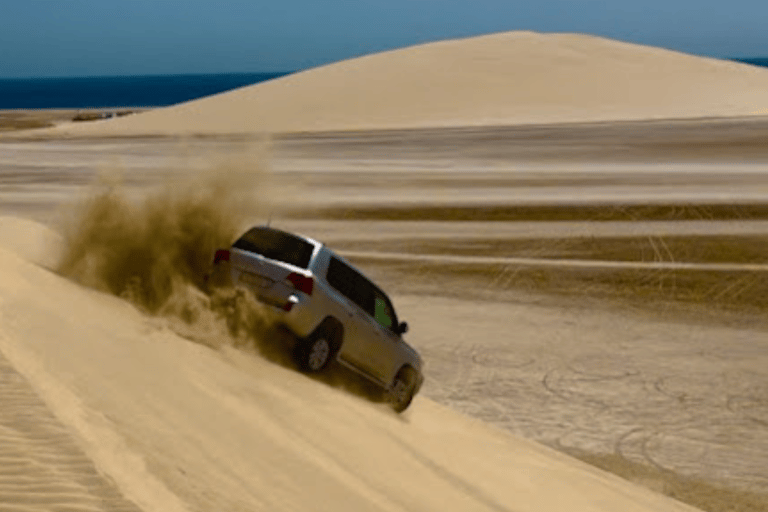 Doha: Desert Safari with Dune Bashing, Camel Ride &amp; Inland