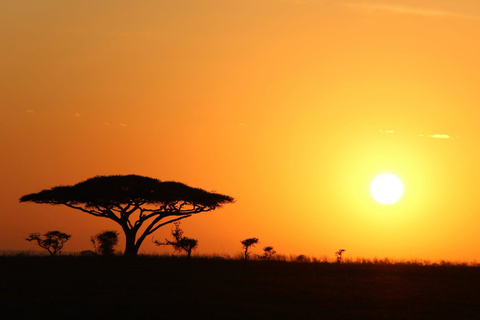 Kenia: Privater Safari Guide und 4x4 Fahrzeugvermietung