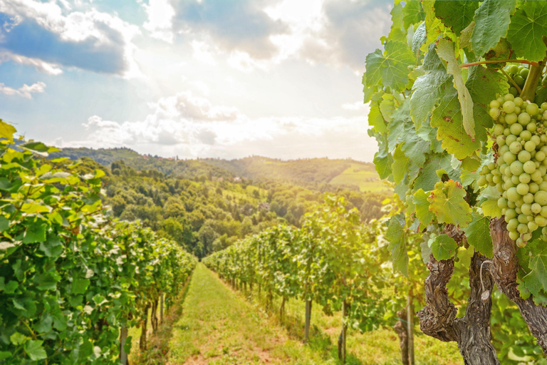 Excursión de un día privada desde Viena a Melk y Dürnstein en español