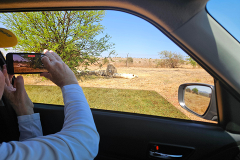 Nashorn- und Löwenpark (Safari) und Wiege (Maropeng Museum)Private Tour