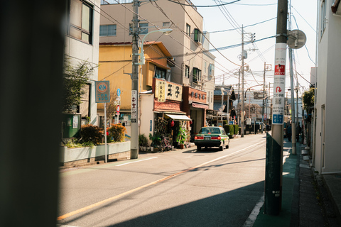 Old Tokyo: Yanaka & Nezu Shrine Guided Walking Tour