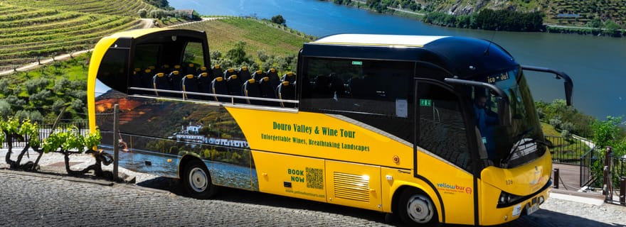 Depuis Porto : Visite d'une jounée de la vallée du Douro et des vins avec déjeuner
