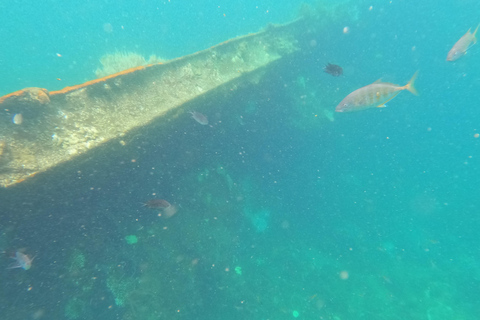 ARRECIFE Y PECIO - SNORKEL JAPONÉS DE LA WWII Y JARDÍN DE CORAL