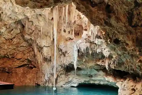From Merida: 4 different Cenotes with lunch