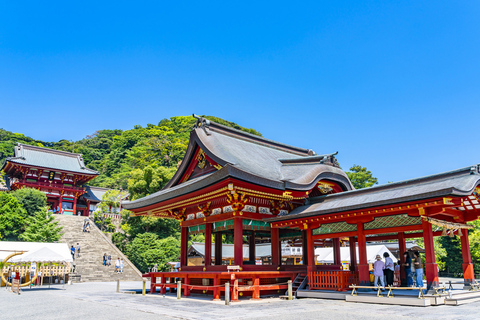 From Tokyo: Kamakura Private Tour with Great Buddha & Bamboo