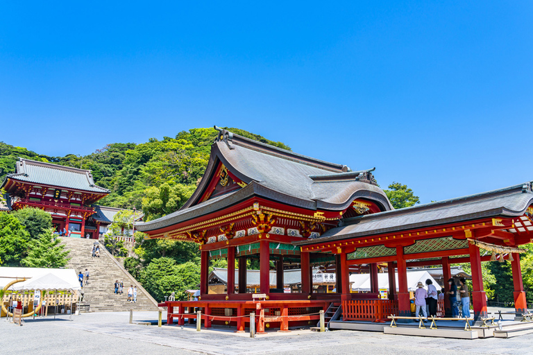 From Tokyo: Kamakura Private Tour with Great Buddha & Bamboo