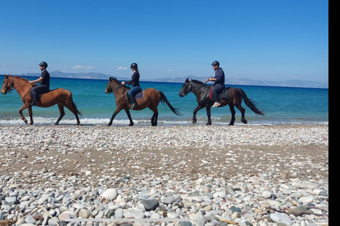 Rhodes: Unforgettable Horseback Riding Adventure Morning horse riding in the countryside of Kremasti.