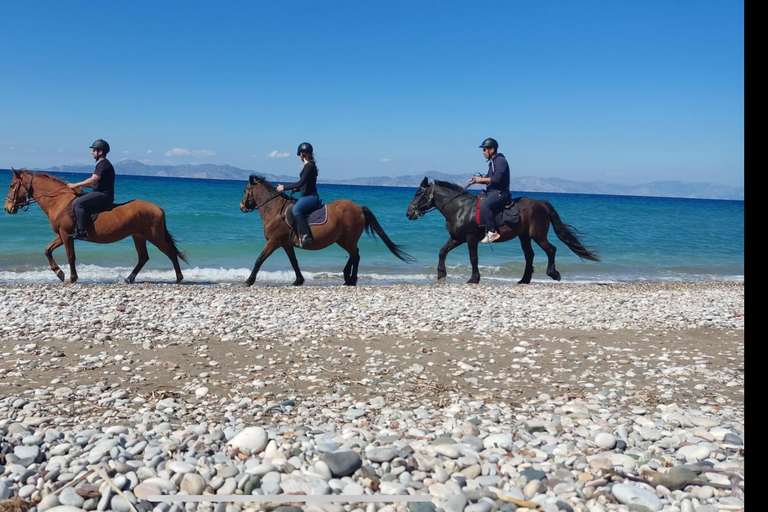 Rodas: Excursión a caballo con fotos digitalesExcursión matinal a caballo por el campo