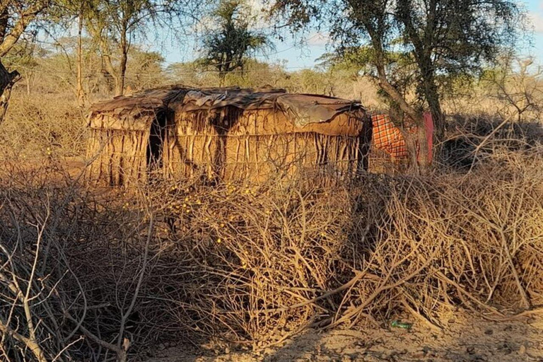 EXCURSION D&#039;UNE JOURNÉE DANS UN VILLAGE MASAI