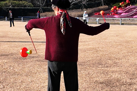 Shanghai: Tai Chi, Pulse Reading, and TCM Wellness Tour