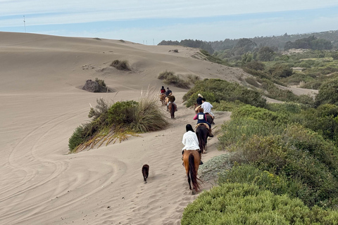 Vineyard, Valparaiso, Horseback Riding, Sea L &amp; BBQ Day Trip