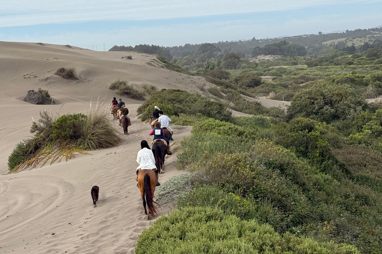 Vineyard, Valparaiso, Horseback Riding, Sea L &amp; BBQ Day Trip