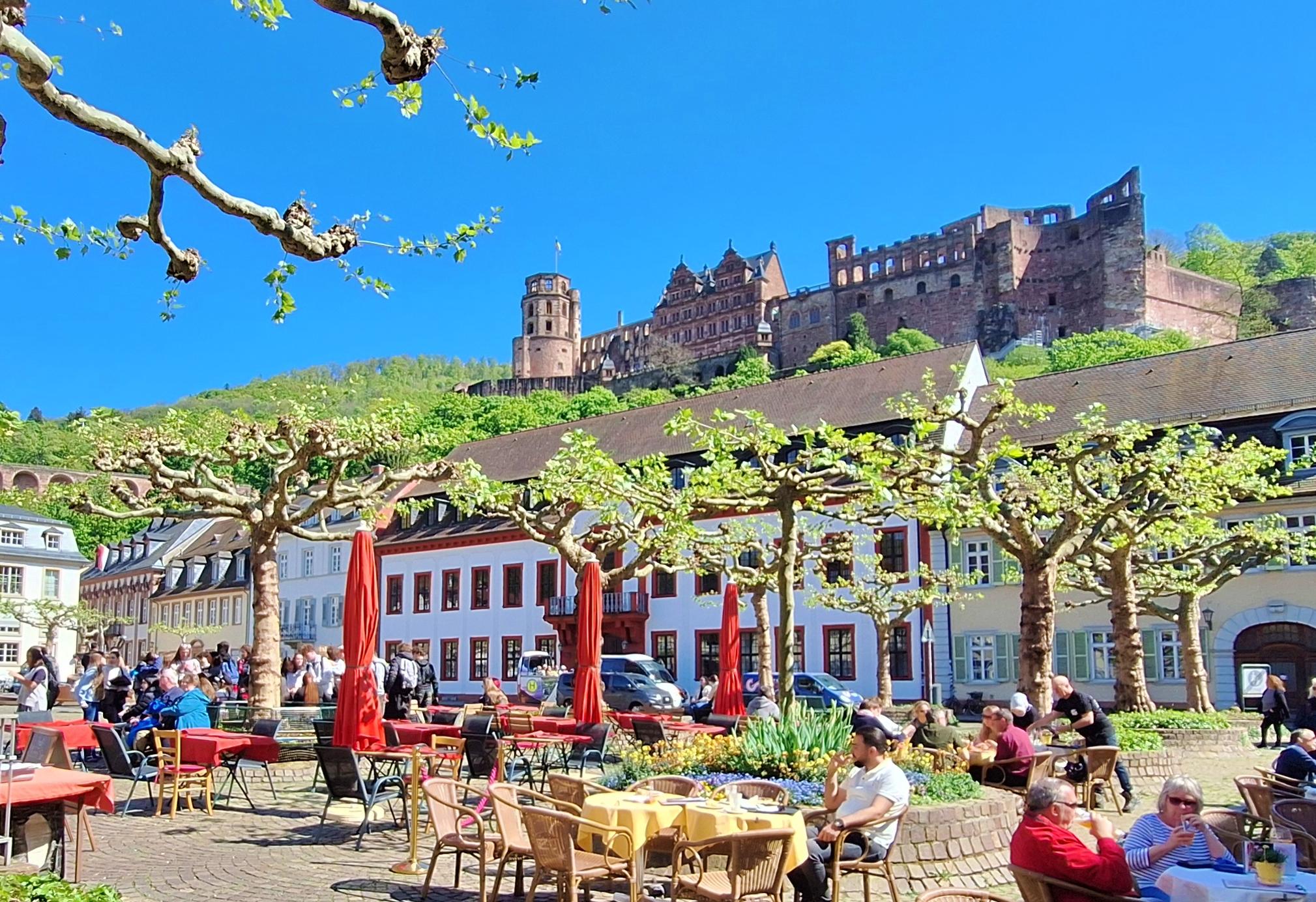 Heidelberg: Highlights Tour mit Stadt, Schloss, Philosophenweg & Königstuhl