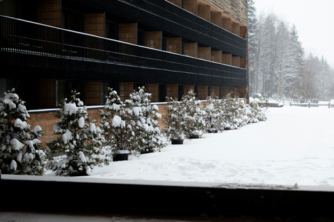 Tbilisi: Bakuriani New Year’s Eve Overnight Tour