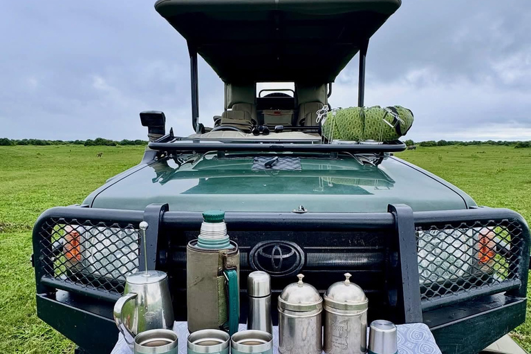 Victoria Falls & Chobe: 4-Day Safari with Lodging