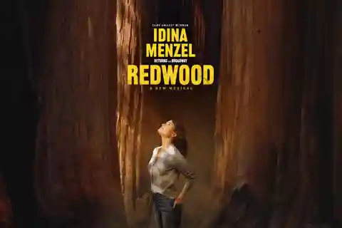 New York City: Redwood Broadway Musical Entry Ticket