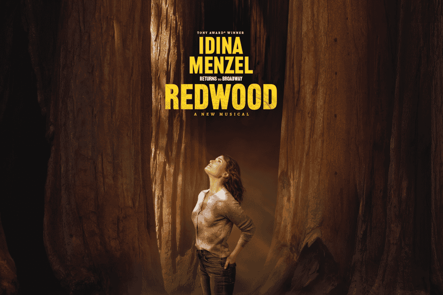 New York City: Redwood Broadway Musical Entry Ticket. Foto: GetYourGuide