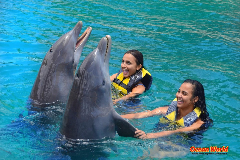 Puerto Plata Ocean World Adventure Park Zatoka Taino Bursztynowa zatokaPuerto Plata: Karnet dzienny do Ocean World Adventure Park