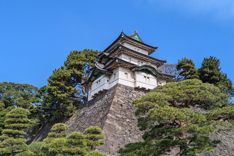 Tokyo: Imperial Palace Shogun and Edo Castle Walking Tour