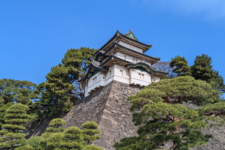 Tokyo: Imperial Palace Shogun and Edo Castle Walking Tour