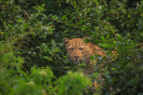 2 Days Akagera National Park Safari with Hot Air Balloon