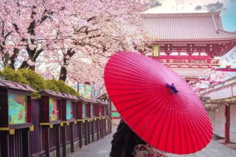 2 jours Tokyo, excursion au Mont Fuji visite guidée privée