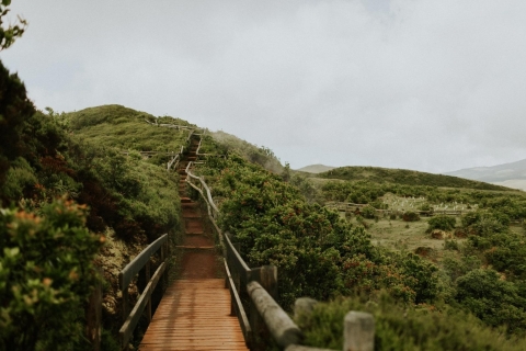 Terceira: Jeeptour van een hele dagJeeptour - hele dag