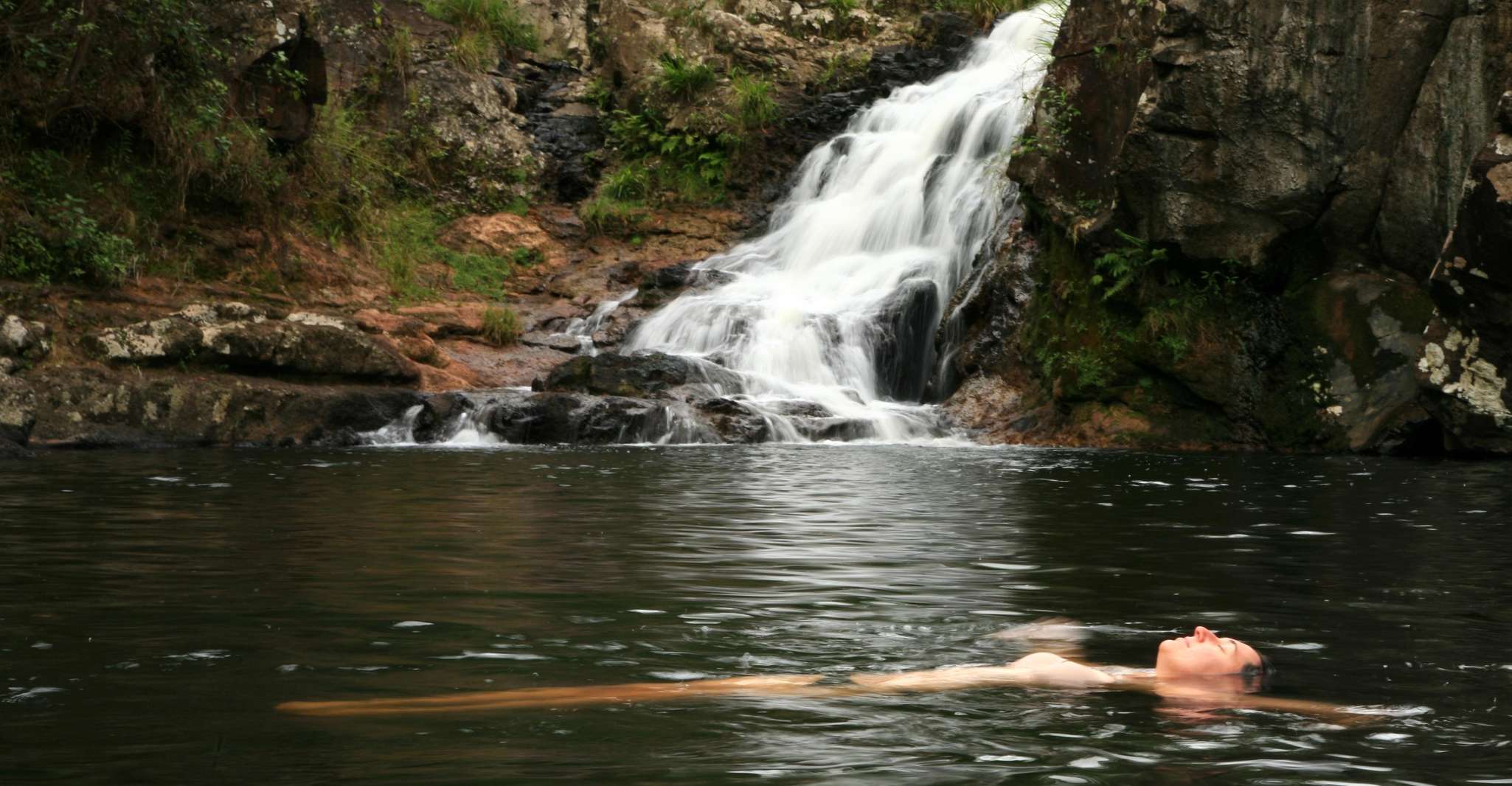 Byron Bay: Glowworms, Waterfalls & Rainforest Experience photo 11