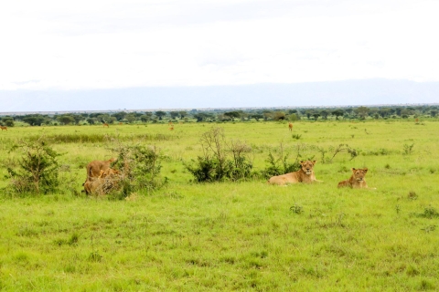 Culinaire ervaring in Oeganda met wilde dieren in Queen Elizabeth