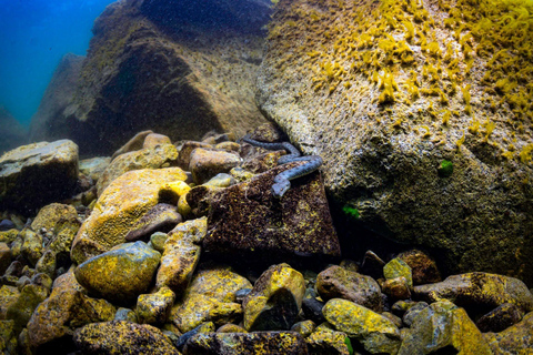 From Yerevan: Lake Sevan Beginner Scuba Diving Trip