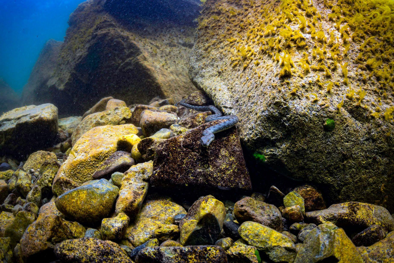 From Yerevan: Lake Sevan Beginner Scuba Diving Trip