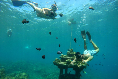 Amed: Exclusive Private Snorkeling to 4 Best Spots