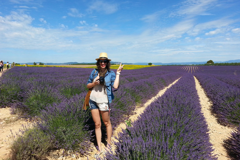 Lavender day trip to Valensole with a distillery visit day trip to Valensole in the lavender fields with a visit to a distillery