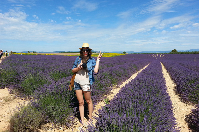 Lavender day trip to Valensole with a distillery visit day trip to Valensole in the lavender fields with a visit to a distillery