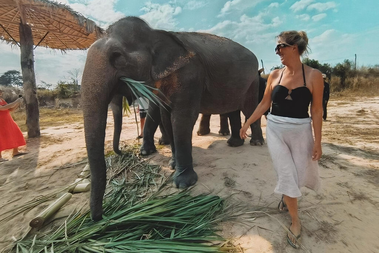 Siem Reap: Elephant Sanctuary Included Hotel Pickup Drop-off