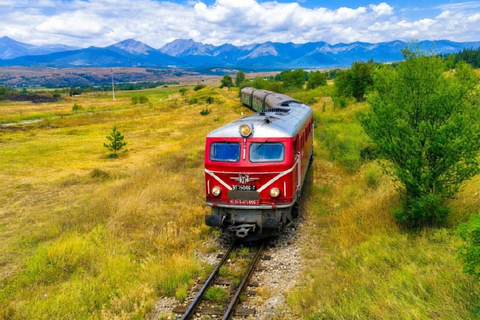 Sofia: Scenic Retro Train, Belmeken Lake & Wine/Thermal trip