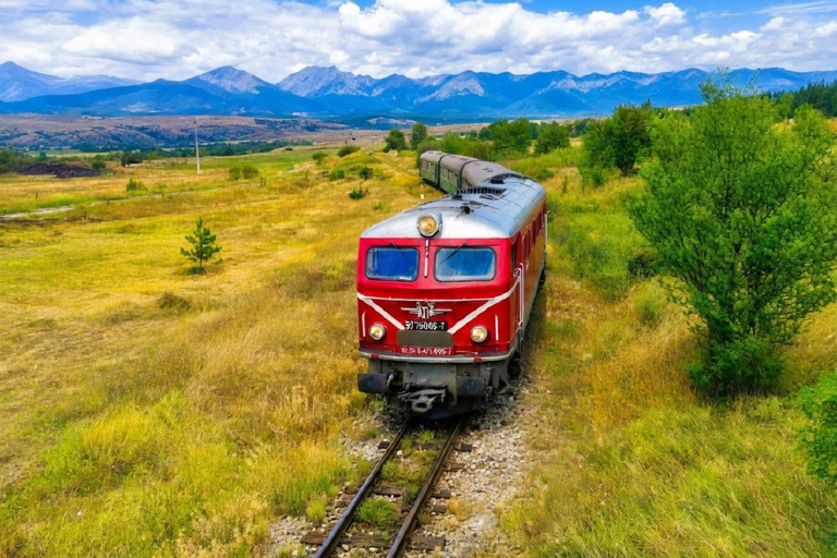 Sofia: Scenic Retro Train, Belmeken Lake & Wine/Thermal trip
