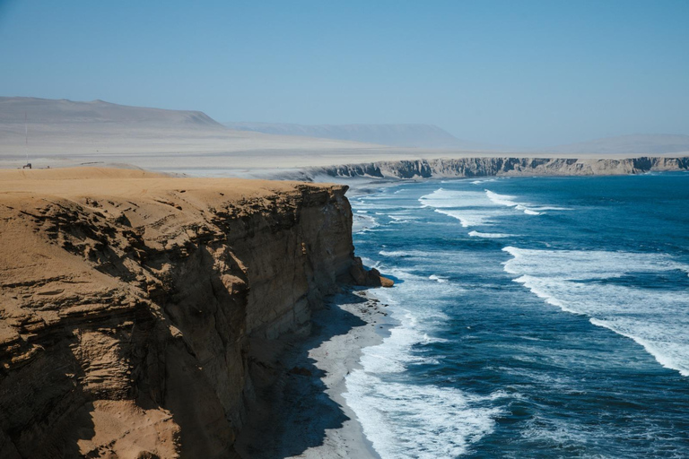 Full-Day Paracas Excursion from Huacachina: Adventure at Sea and in the Desert Full-Day Paracas Excursion from Chincha: Adventure at Sea and in the Desert