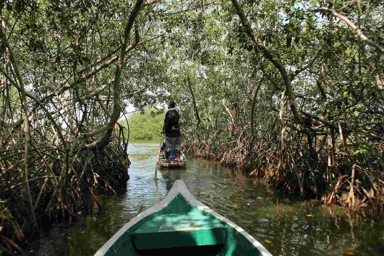 Shared Cartagena Mud Volcano + Mangrove Tour including lunch