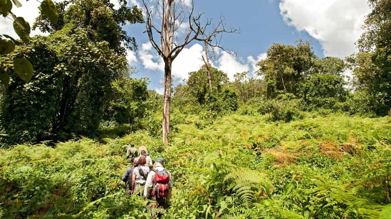 Trekking De Jours Dans Les Montagnes D Udzungwa Et Les Chutes D Eau