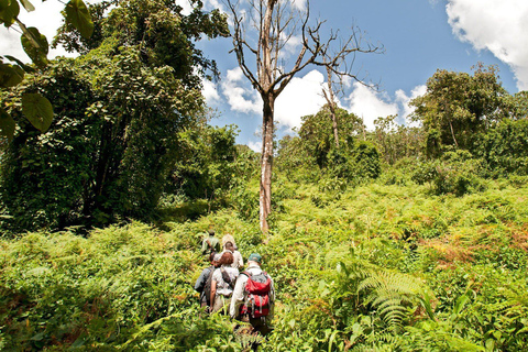 Mikumi & Udzungwa: 4-Day Safari from Zanzibar of Daressalaam Depart from Dar es salaam